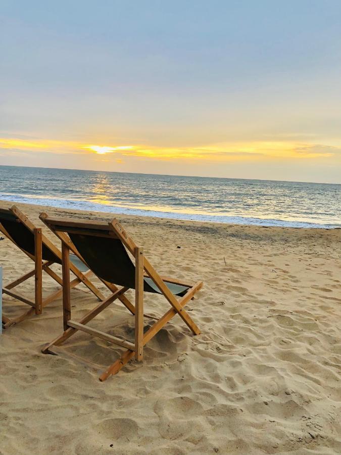 Windy Waves Kite Beach & Nature Resort 칼피티야 외부 사진