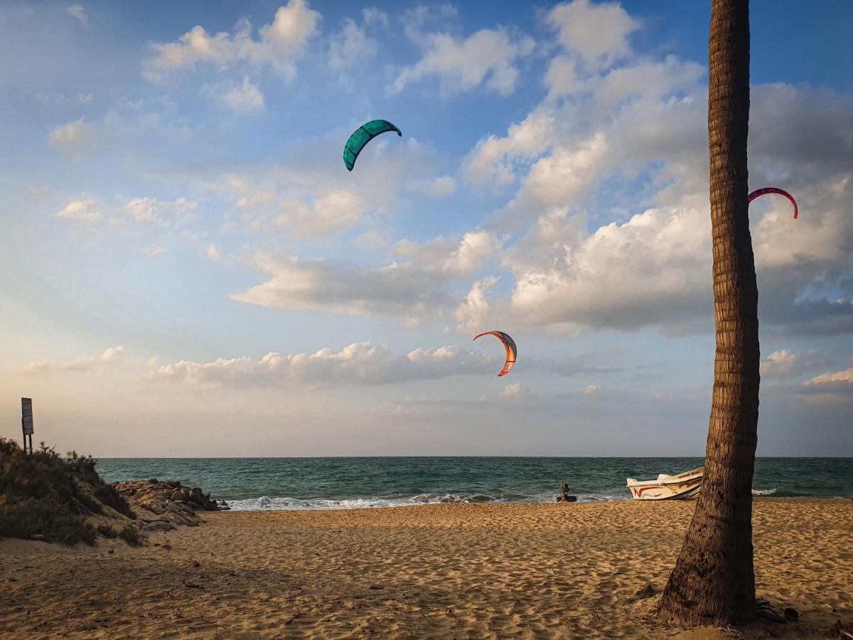 Windy Waves Kite Beach & Nature Resort 칼피티야 외부 사진